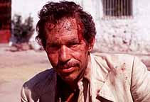 Warren Oates, as seen in "Bring Me The  Head Of Alfredo Garcia"
